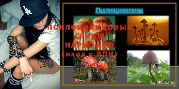 ешки Волоколамск