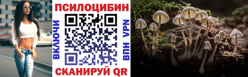 Псилоцибиновые грибы Psilocybe Камызяк